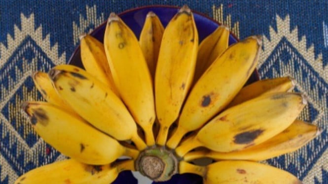 Ilustrasi Pisang Raja