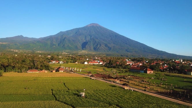 Sejuk dan Hijaunya Desa Wukirsari Yogyakarta