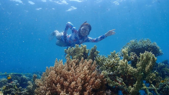 Wisata bawah laut Pemuteran