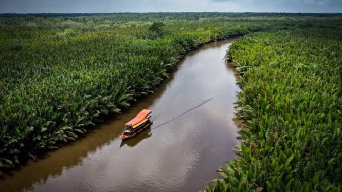 Kapal di Sungai pada Taman Nasional Tanjung Putting