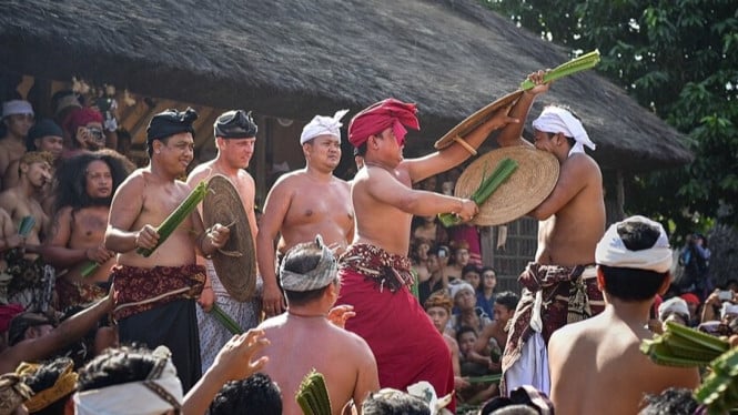 Ilustrasi pelaksanaan Mekare-kare, perang pandan sacral di Bali.