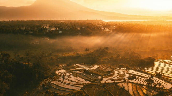 Hamparan sawah Bali, tersimpan tradisi Biyukukung.