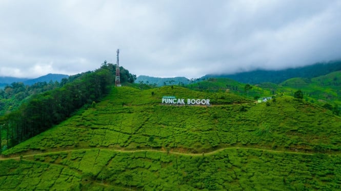 Spot Kece Di Bogor Yang Wajib Masuk List Liburanmu