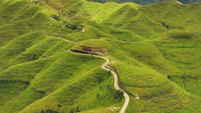 Keindahan Bukit Tanamara, Sumba Timur