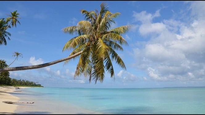 Pesona Pulau Palambak Di Aceh Singkil