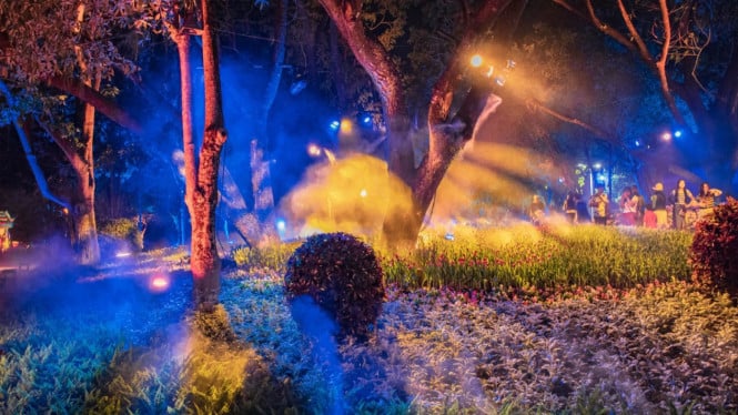 Night walk Imersif Kebun