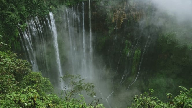 Surga alam di tengah hutan