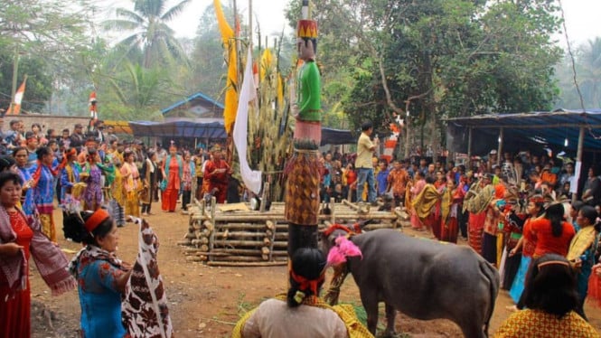 Upacara Tiwah Suku Bugis.
