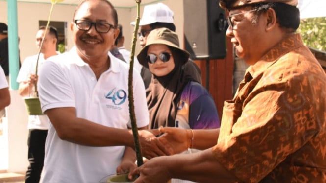 Aksi Perumdam Badung tanam 1.000 mangrove di Kedonganan