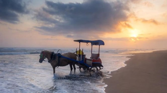 Menikmati Pemandangan Pantai Parangtritis