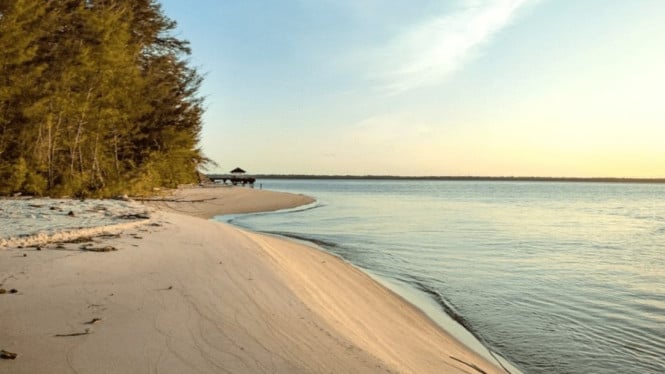 Pesisir pantai tanjung keluang