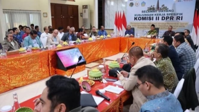 Pemprov Bali ajak DPR tinjau ulang sistem OSS.