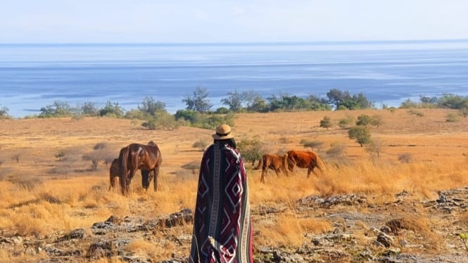 Savana Puru Kambera, daya tarik wisata alam Sumba