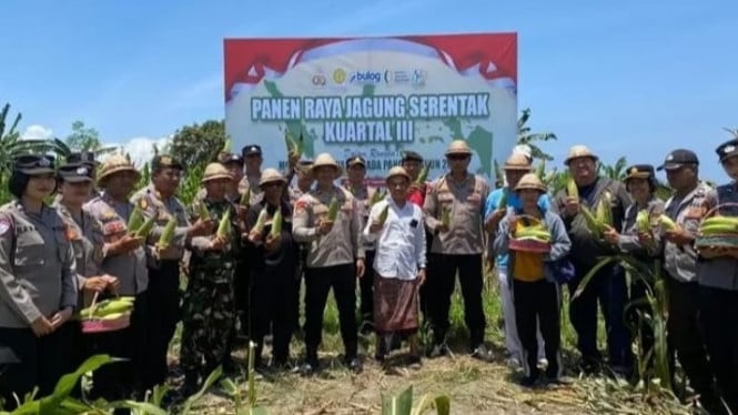 Panen raya jagung serentak kuartal III