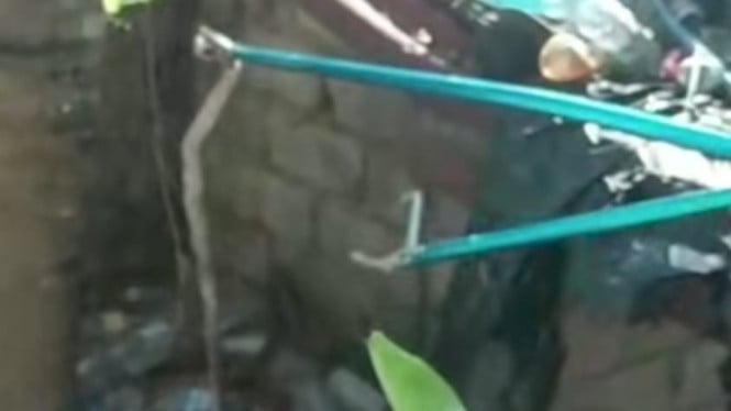 Ular kobra berhasil dievakuasi oleh tim Damkar Badung