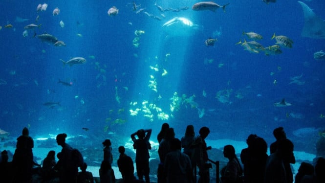 Wisata indoor terbaik di Jabodetabek