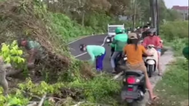 Aparat dan warga mengevakuasi pohon tumbang