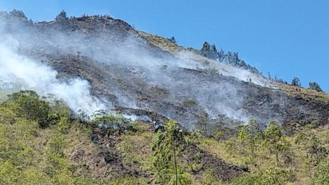 Kebakaran melanda lereng Gunung Batur Bali