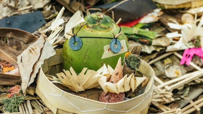 Kelapa, sesajian, dan kehidupan