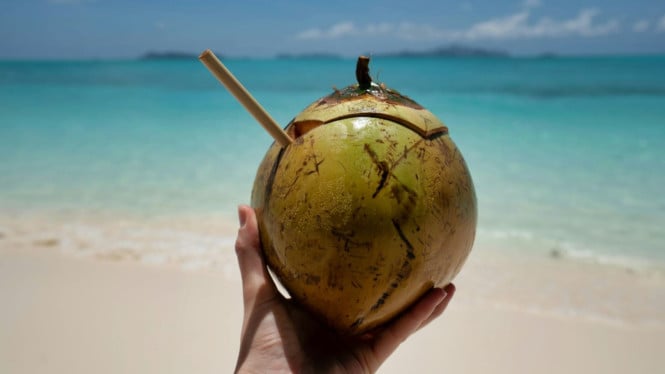 Ilustrasi kelapa di Pantai Selayar