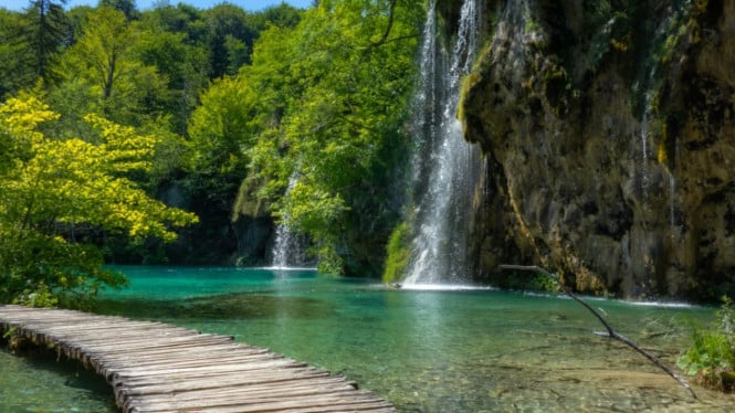 pemandangan air terjun yang indah
