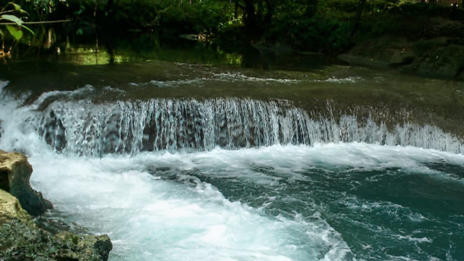Air hijau jernih Citumang, petualangan santai di hutan asri