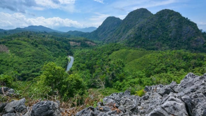 Hutan Pegunungan Meratus