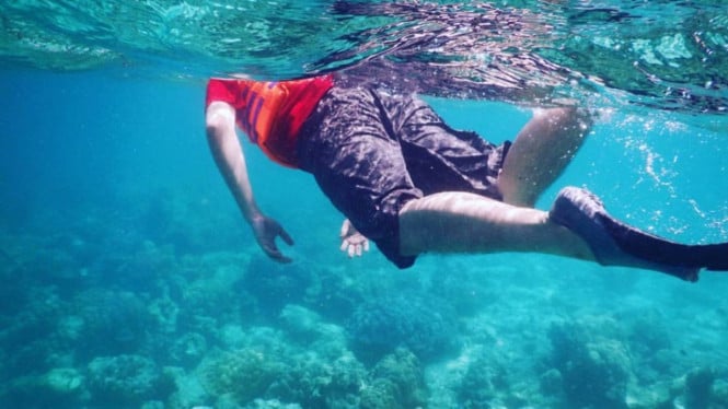 Menyelam di Pantai Iboih Aceh