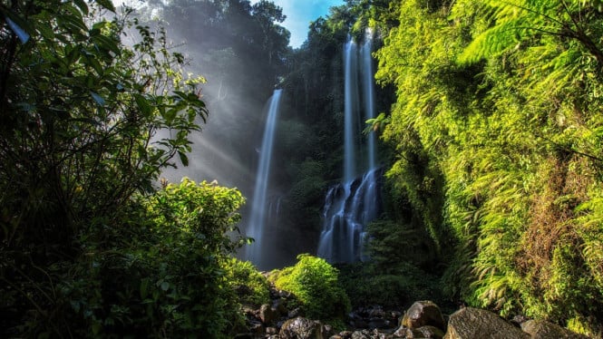 Panorama Air Terjun Sekumpul