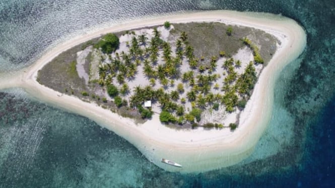 Menjelajahi Pulau Bedil, Keindahan Bahari Tersembunyi di Nusa Tenggara ...