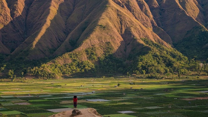 Menjelajah Bukit Selong Sembalun Lombok, Surga Sunrise yang Belum ...