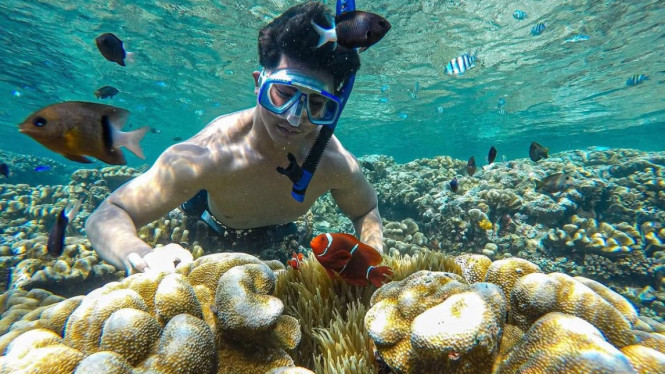Taman Laut Olele Gorontalo, Surga Bawah Laut di Bone Bolango yang Wajib ...