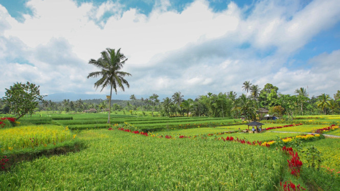 Banyuwangi Kenalkan Destinasi Hidden Gem Seputar Kaki Ijen