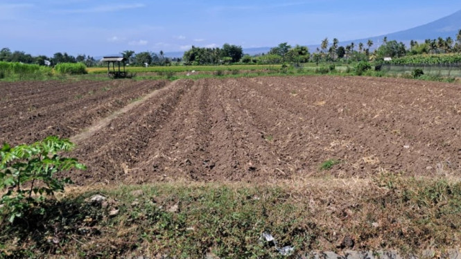 Lahan siap tanam petani yang mulai kekurangan pasokan air