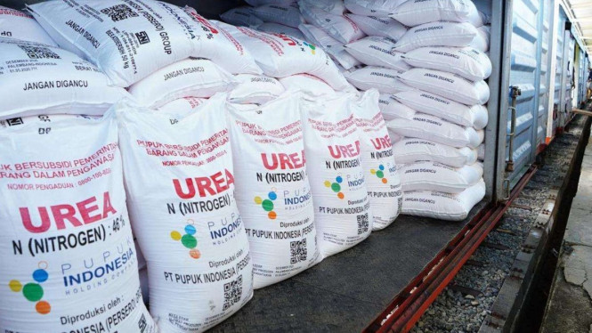 Pupuk bersubsidi yang keberadaannya semakin hilang di Wongsorejo