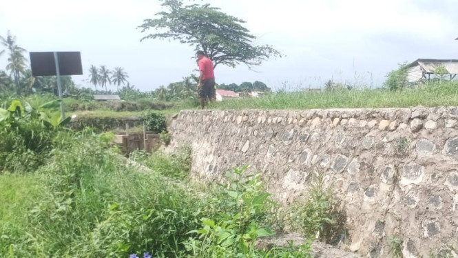 Lokasi plengsengan yang dikeluhkan petani