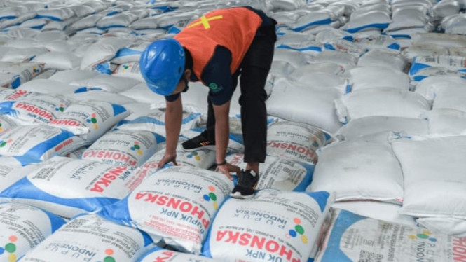 Ilustrasi stok pupuk phonska di sebuah gudang