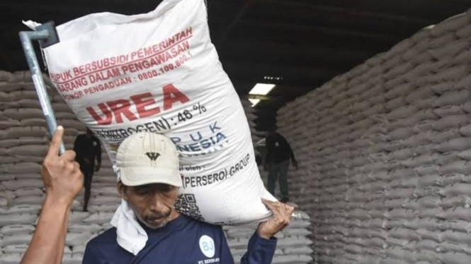 Beberapa pakar menemukan masalah pendataan pupuk