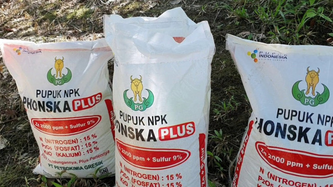 Ilustrasi pupuk jenis phonska