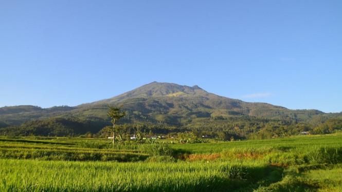 Keindahan Gunung Lawu