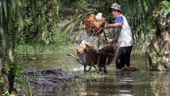 Daya dukung ekologis di Sumatera sudah tidak memungkinkan