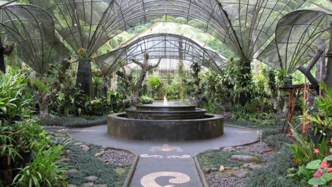 Melangkah di Indahnya Kebun Raya Eka Karya Bedugul