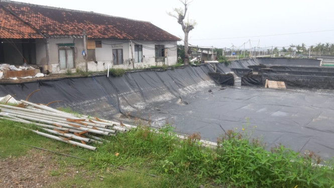Tambak Abadi Sukses Makmur Desa Alasrejo sedang dikeringkan