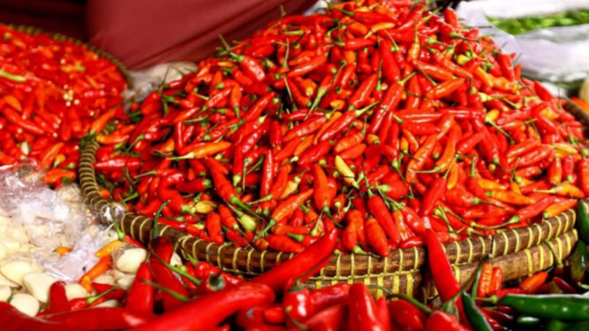 cabai rawit merah