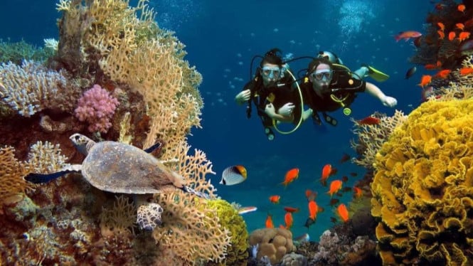 Taman Nasional Bunaken, Surga Tersembunyi di Manado