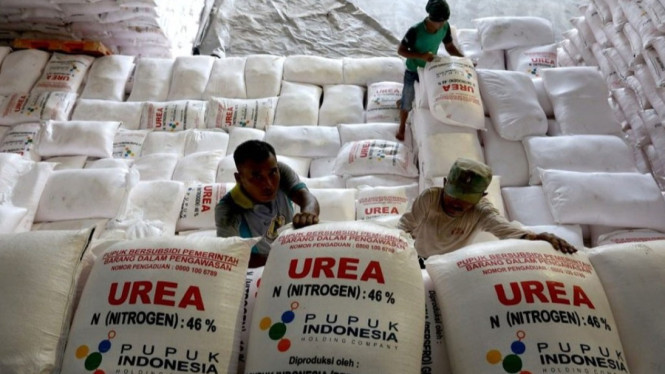 Ilustrasi pupuk bersubsidi di gudang