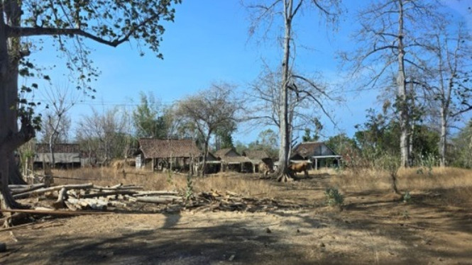 Lokasi hunian warga di lahan tukar guling Pertamina & Kemenhut