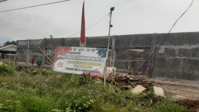 KDMP Bajulmati, Wongsorejo, Banyuwangi, Jawa Timur