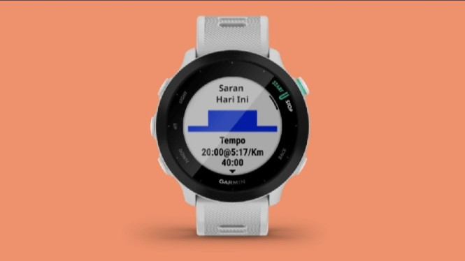Keunggulan Garmin Forerunner 55 Running Watch Entry Level