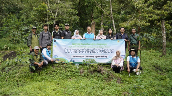 PLN Icon Plus Gelar Reforestasi Arjuno-Welirang, Tanam 200 Bibit Pohon di Jalur Pendakian Tretes